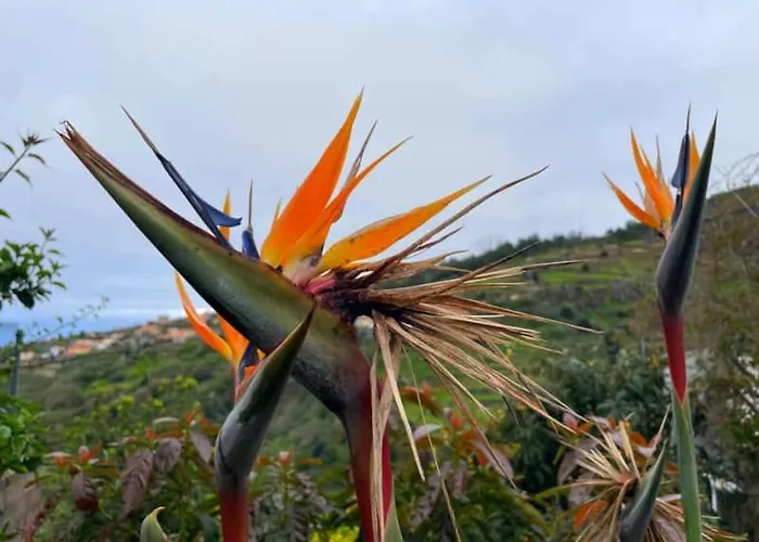 - Vinha & Jardim - Adults-only Met Hottub & Zeezicht *