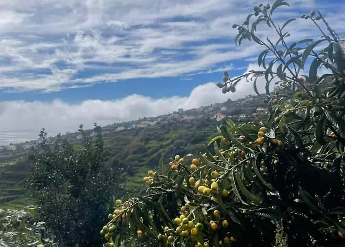 - Vinha & Jardim - Adults-only Met Hottub & Zeezicht 別荘