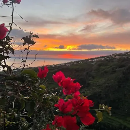 Vakantiehuis - Vinha&jardim - Adults-only Met Hottub&zeezicht *