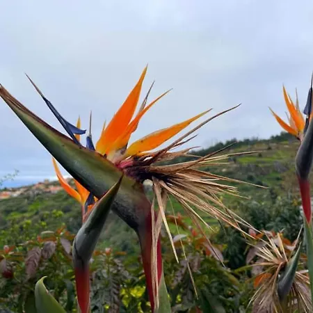 - Vinha & Jardim - Adults-only Met Hottub & Zeezicht *