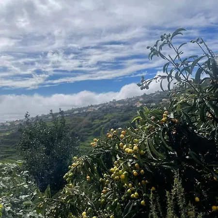 - Vinha&jardim - Adults-only Met Hottub&zeezicht Vakantiehuis